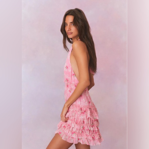 NWT Love Shack Fancy Cherry Pink Quintelle Dress Medium - Picture 6 of 7